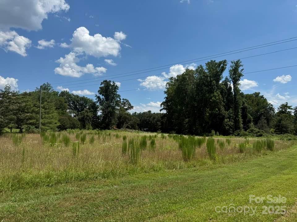 0 Chesnee Road Columbus, NC 28722 - Photo 9 of 21 a view of a lake