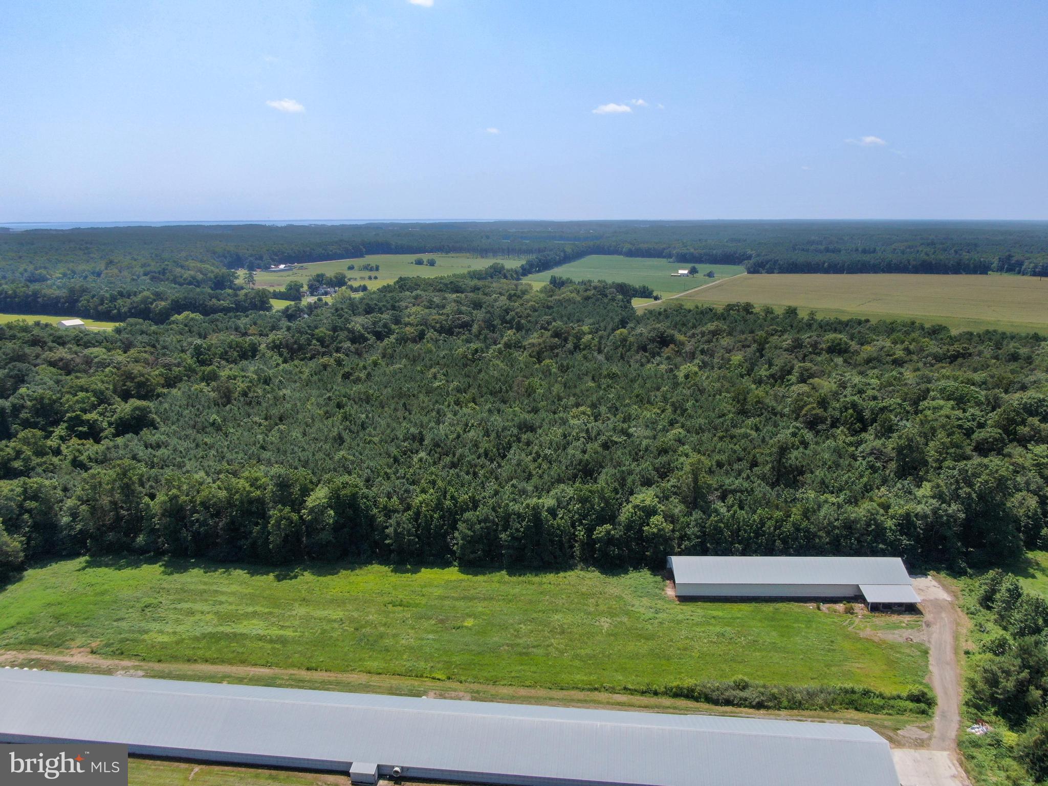 5412 Onley Road Girdletree, MD 21829 - Photo 6 of 13 Gallery Image 6