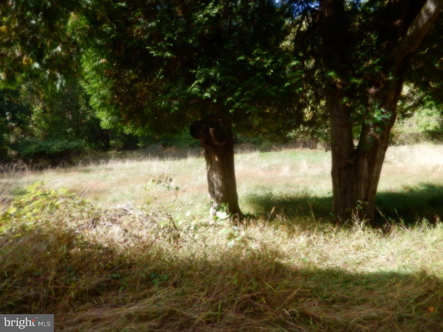 13 Ridge Road Hopewell, NJ 08525 - Photo 18 of 19