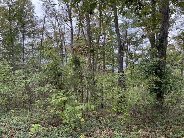 Lot 20 Rabbit Run Cape Cape Fair, MO 65624 - Photo 5 of 6 Lot