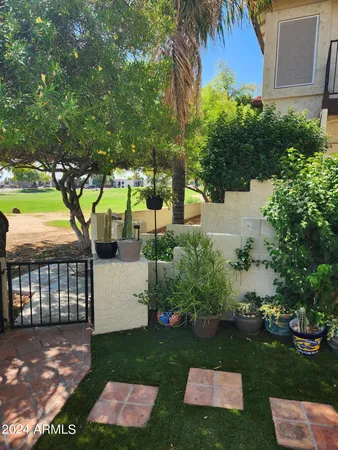 a view of backyard with outdoor and green space