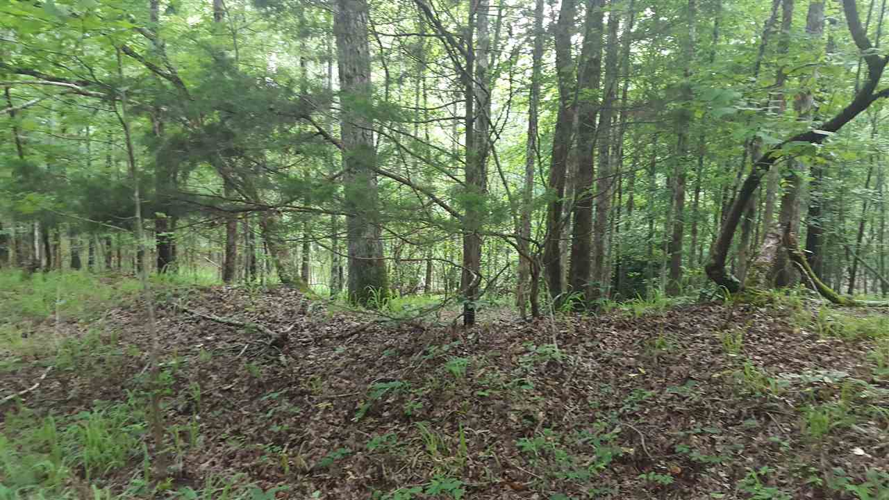 2 Liberty Road Morris Chapel, TN 38361 - Photo 2 of 9 Gallery Image 2