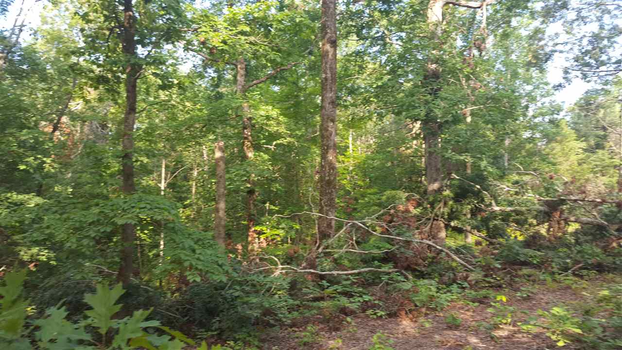 2 Liberty Road Morris Chapel, TN 38361 - Photo 7 of 9 Gallery Image 7
