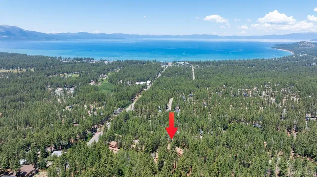 a view of a city with lush green forest