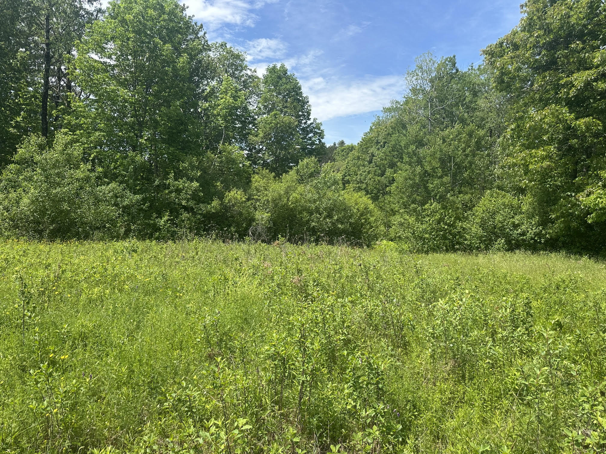 37 Herrick Road Belfast, ME 04915 - Photo 3 of 14 4