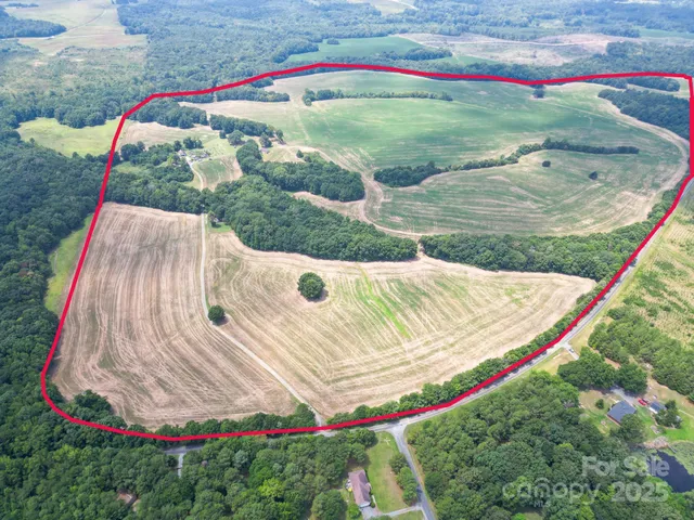 a view of a backyard with potted plants