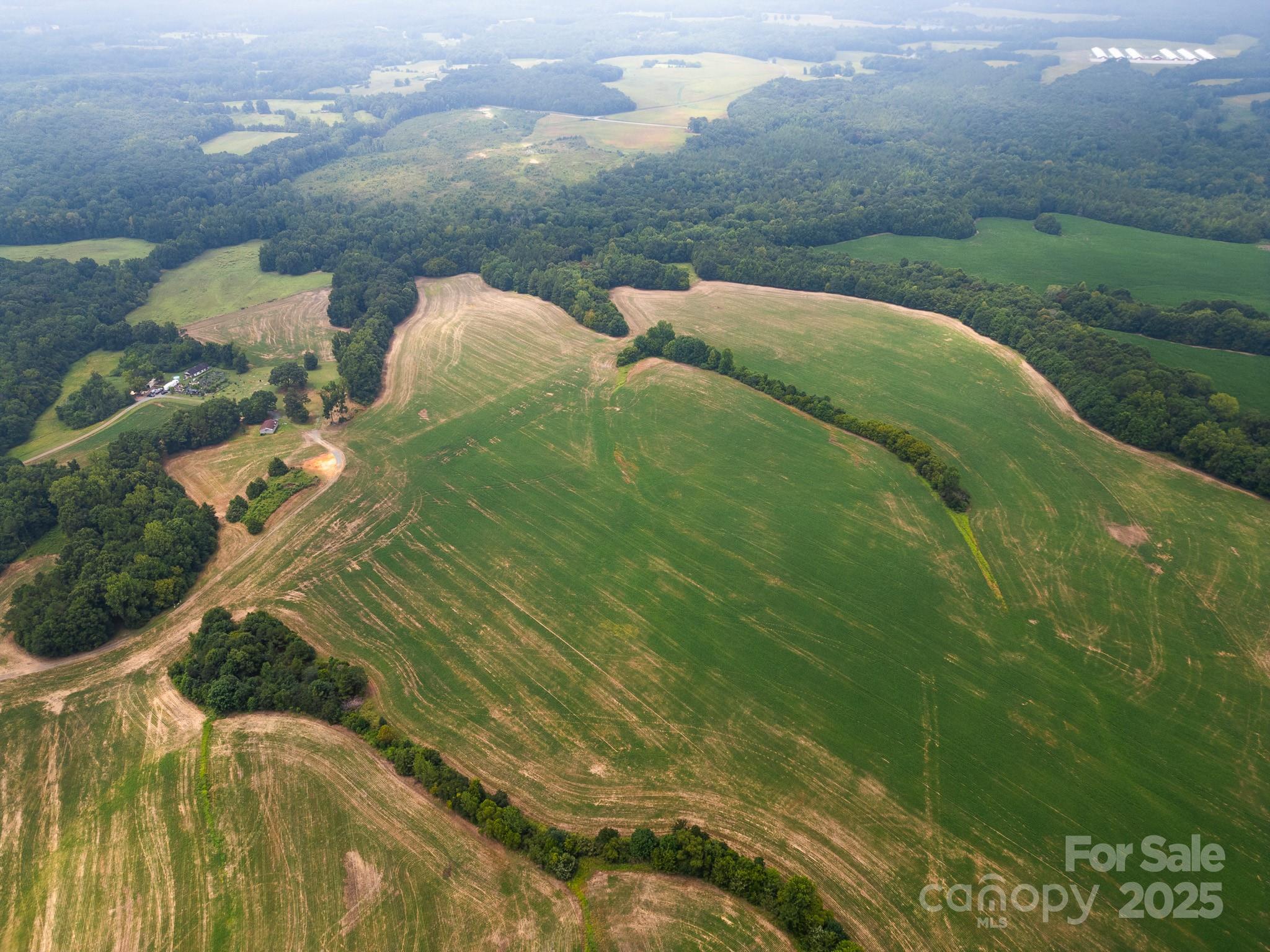 7602 Gus Eubanks Road Monroe, NC 28112 - Photo 16 of 22 a view of a green yard