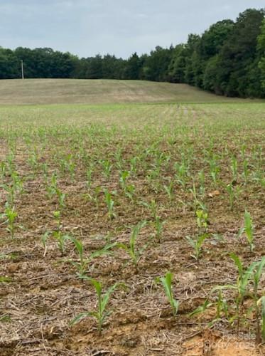 7602 Gus Eubanks Road Monroe, NC 28112 - Photo 18 of 22 a view of a lake view