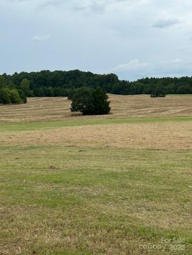 7602 Gus Eubanks Road Monroe, NC 28112 - Photo 19 of 22 a view of lake view and mountain view