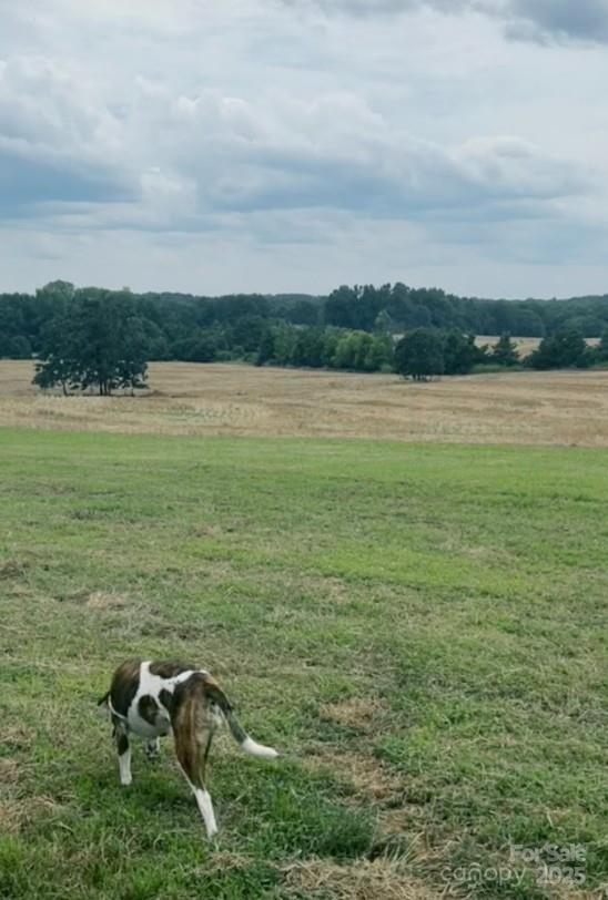 7602 Gus Eubanks Road Monroe, NC 28112 - Photo 20 of 22 a view of lake with mountain