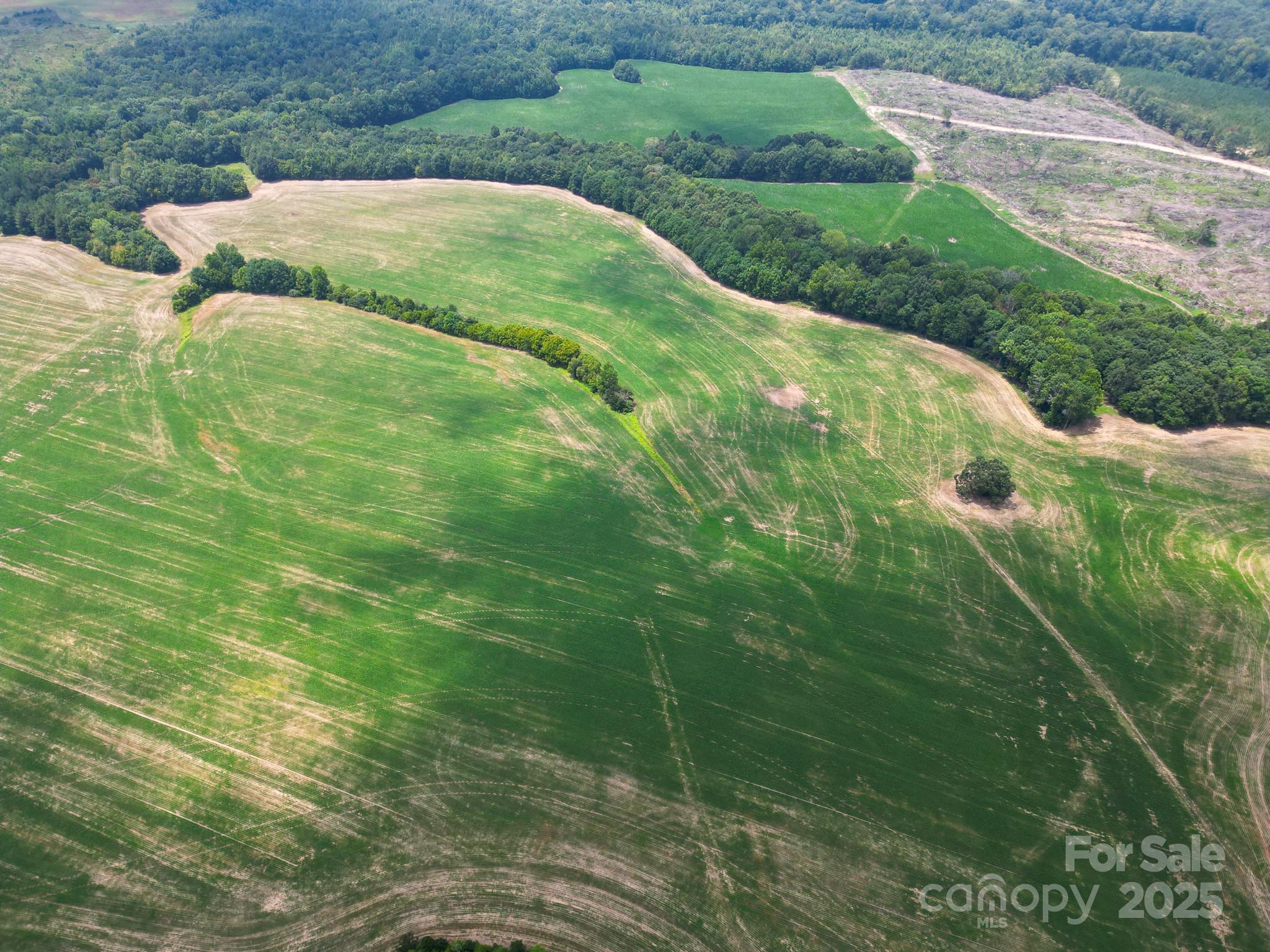 7602 Gus Eubanks Road Monroe, NC 28112 - Photo 6 of 22 a view of outdoor space and yard