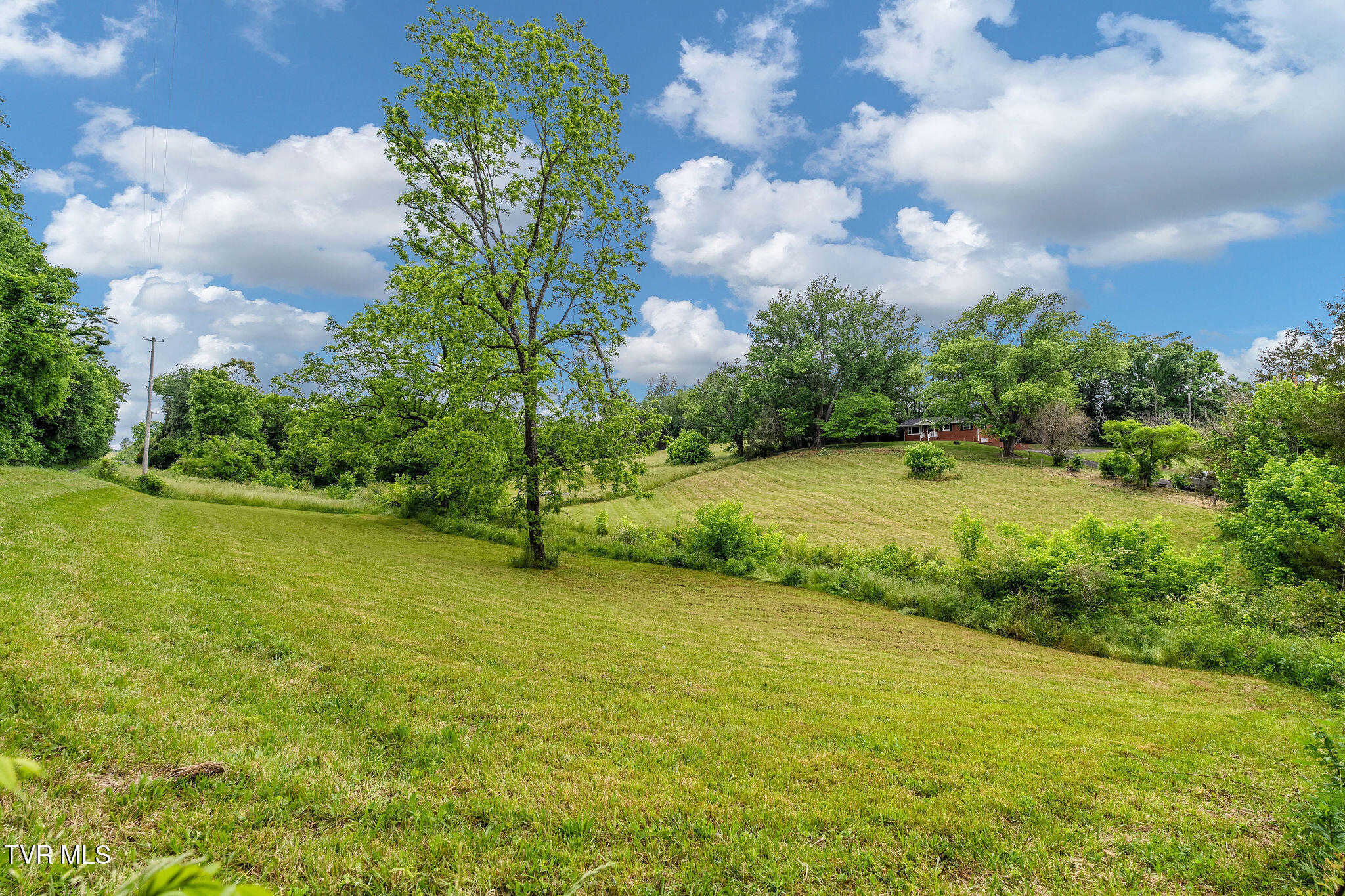 630 Briar Patch Lane Greeneville, TN 37745 - Photo 50 of 50 DSC03872