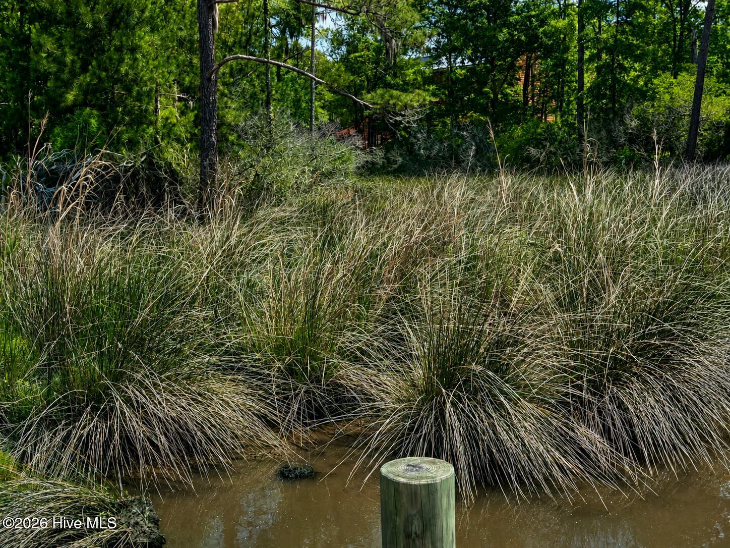 408 Tarpon Pointe Road Bath, NC 27808 - Photo 7 of 14 408 Tarpon