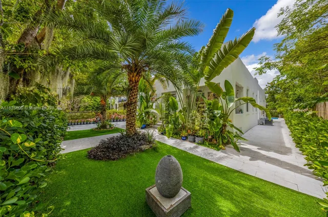 a view of a garden with plants