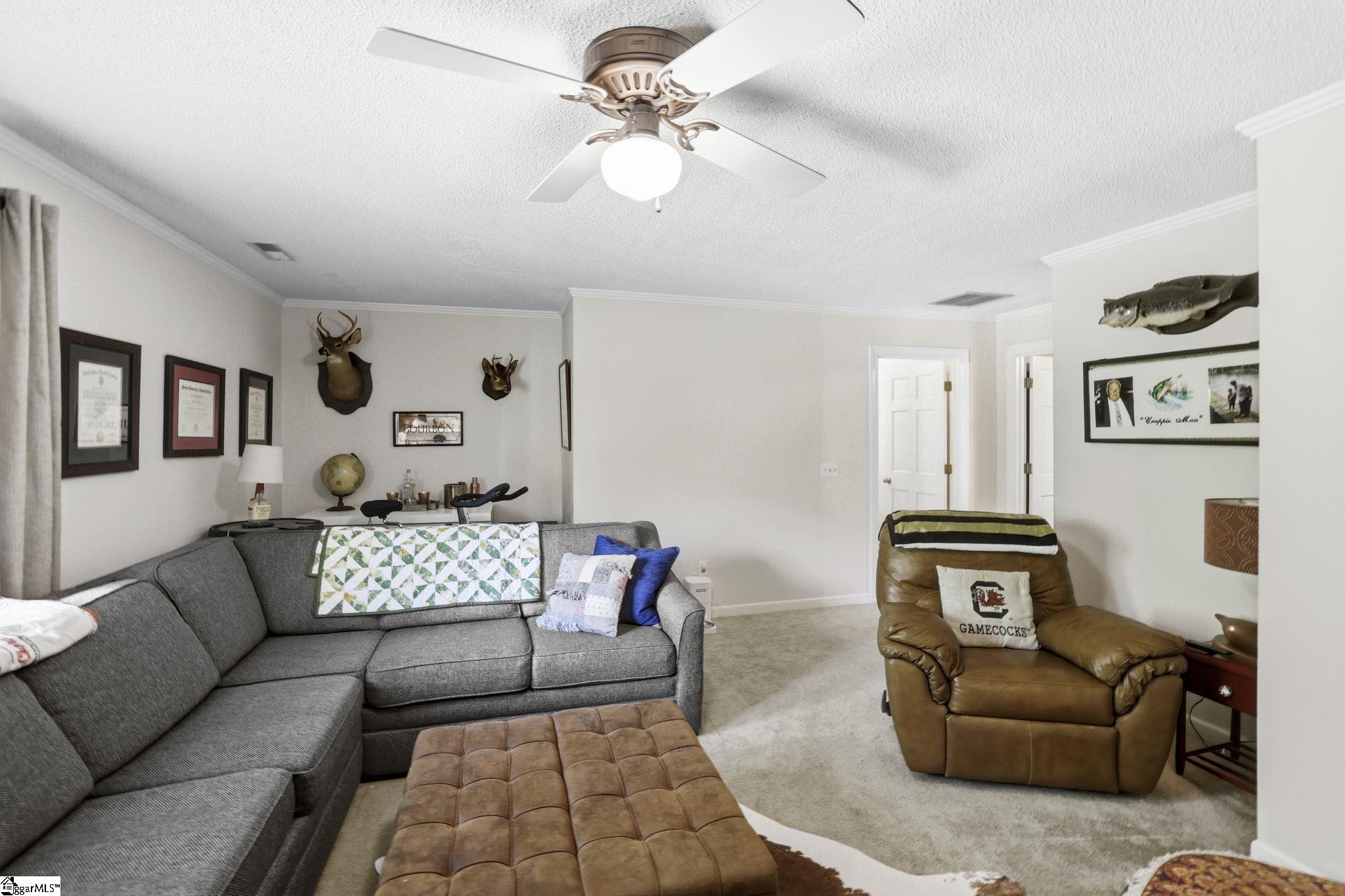 119 Ricelan Drive Simpsonville, SC 29681 - Photo 20 of 38 Gallery Image 20