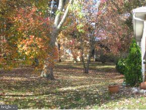 8 Magnolia Road Manahawkin, NJ 08050 - Photo 17 of 24 Gallery Image 17