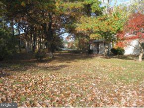 8 Magnolia Road Manahawkin, NJ 08050 - Photo 6 of 24 Gallery Image 6