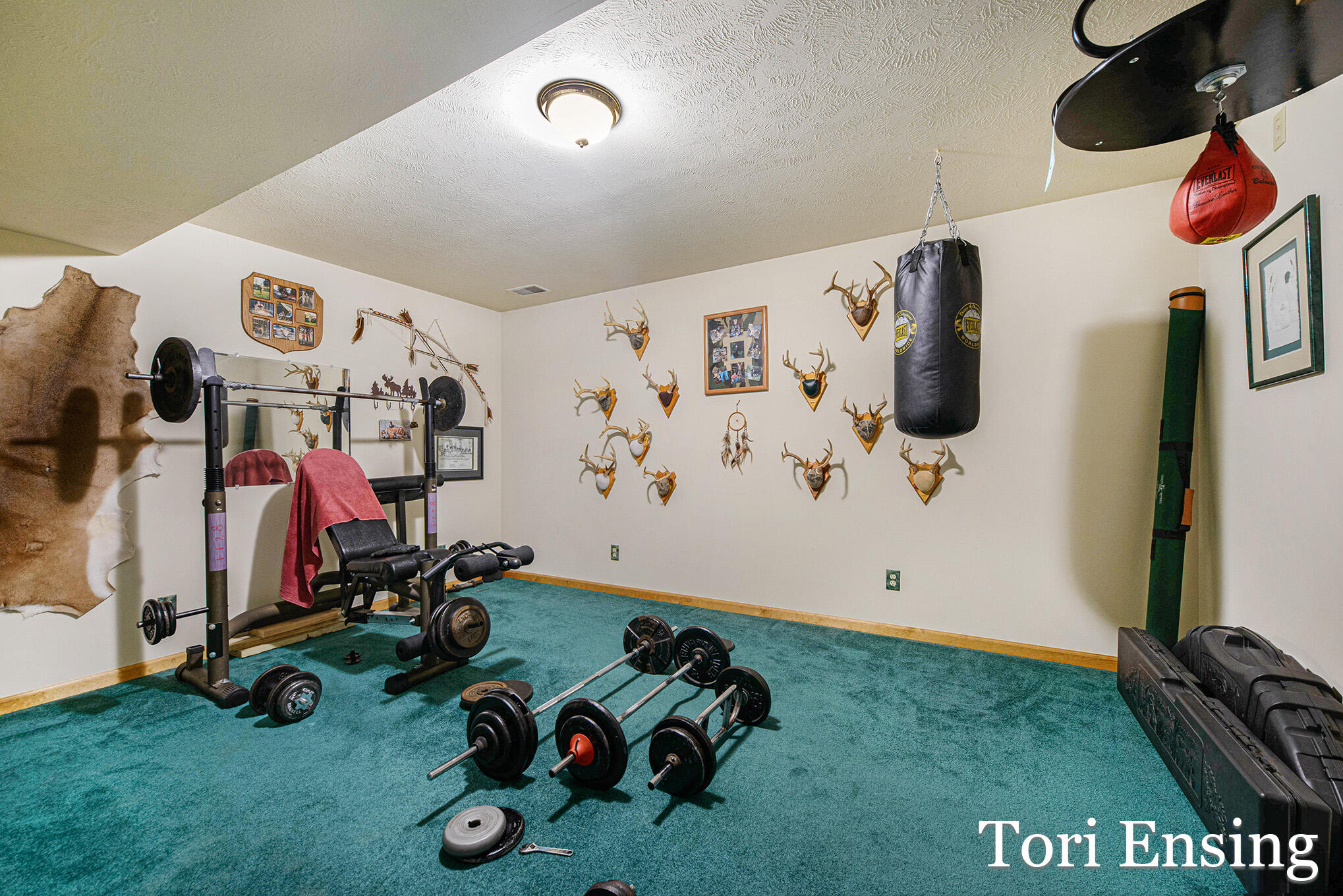 6877 South Grow Road Greenville, MI 48838 - Photo 18 of 48 6877SGrowRd-19