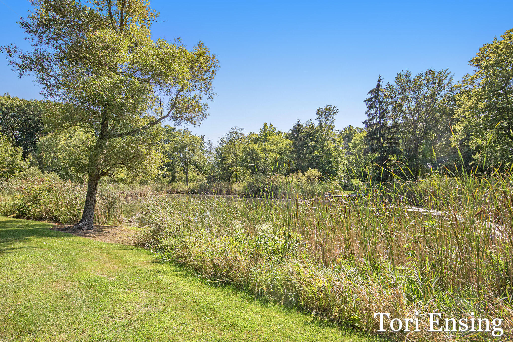 6877 South Grow Road Greenville, MI 48838 - Photo 30 of 48 IMG_6475