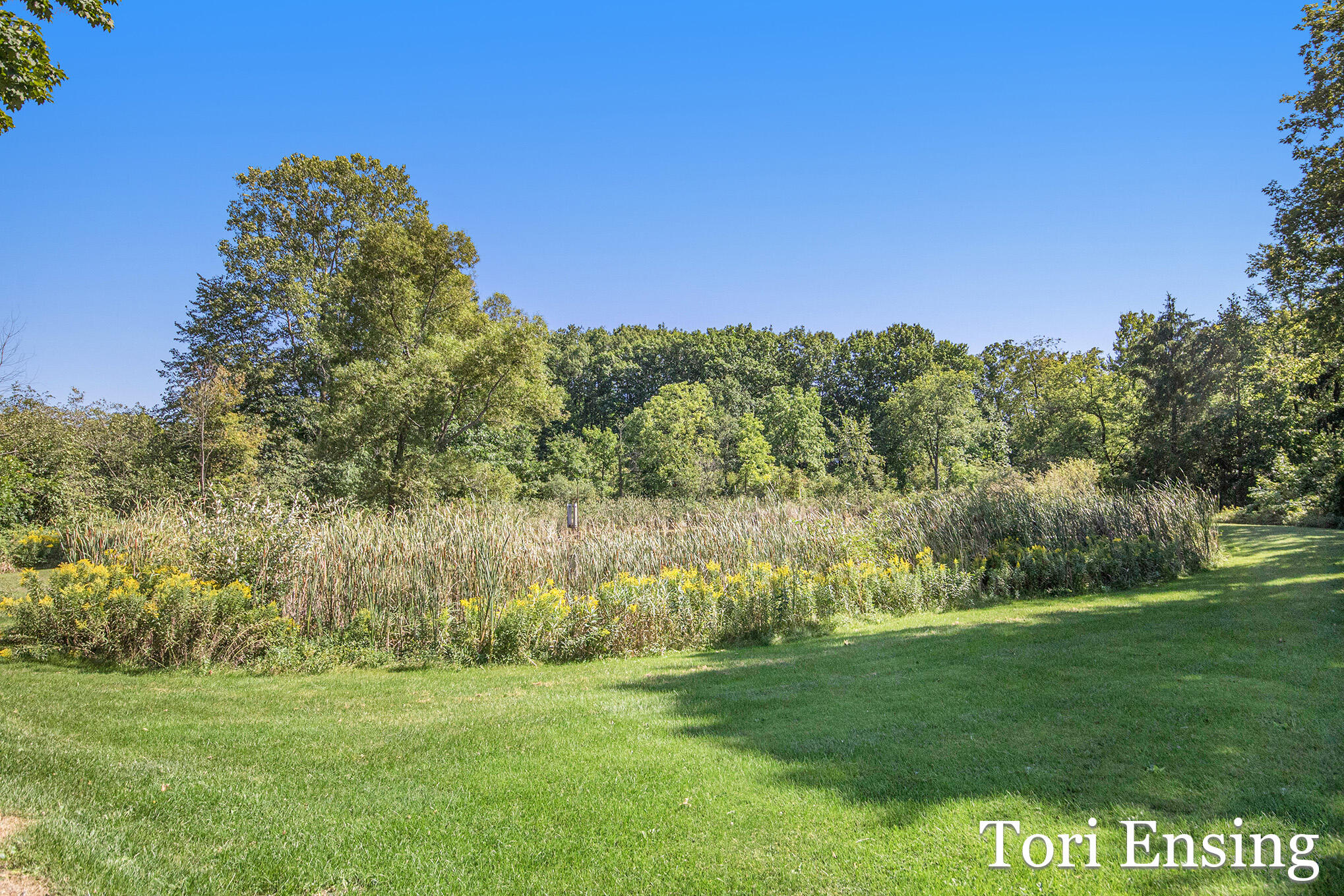 6877 South Grow Road Greenville, MI 48838 - Photo 31 of 48 IMG_6474
