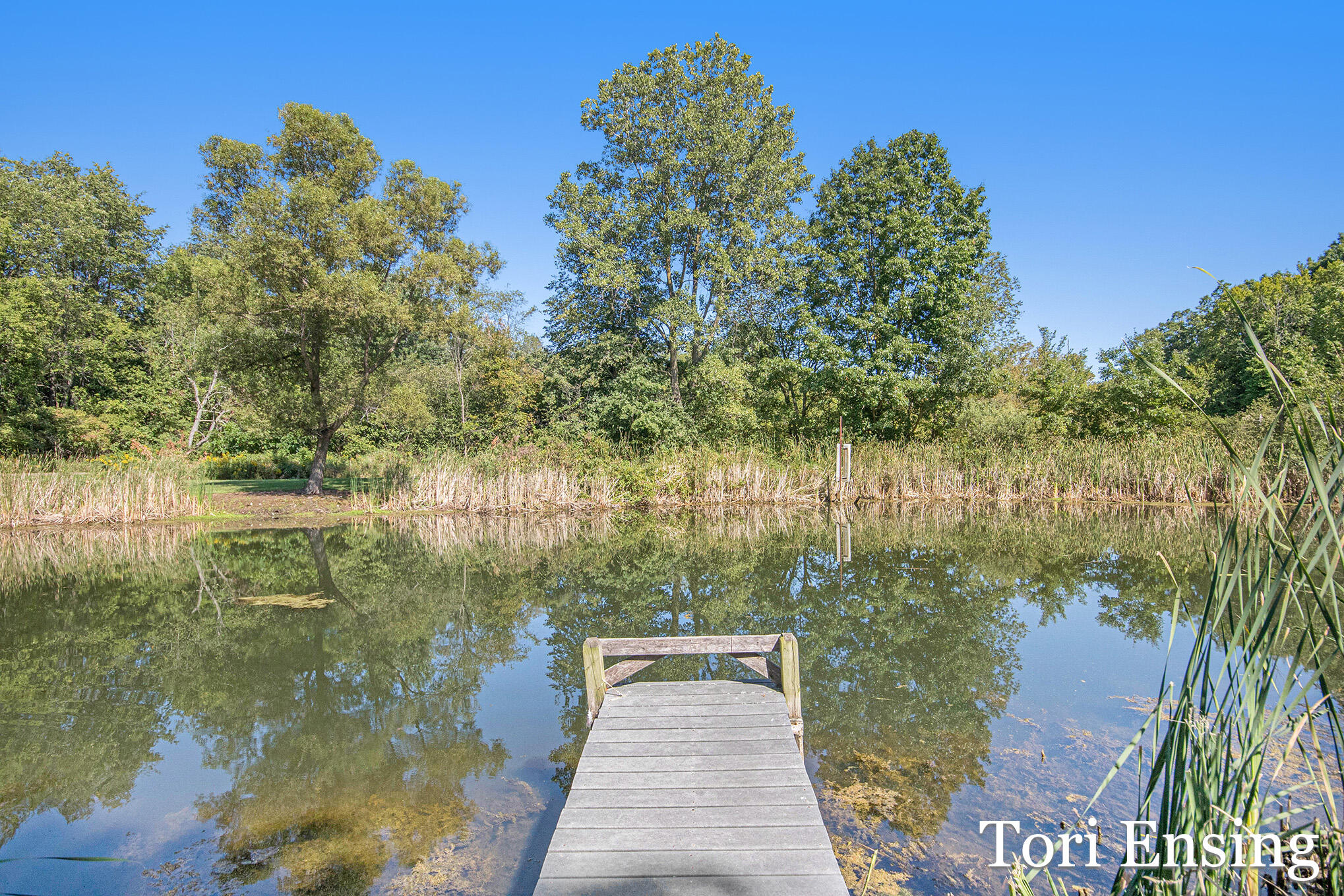 6877 South Grow Road Greenville, MI 48838 - Photo 36 of 48 IMG_6479
