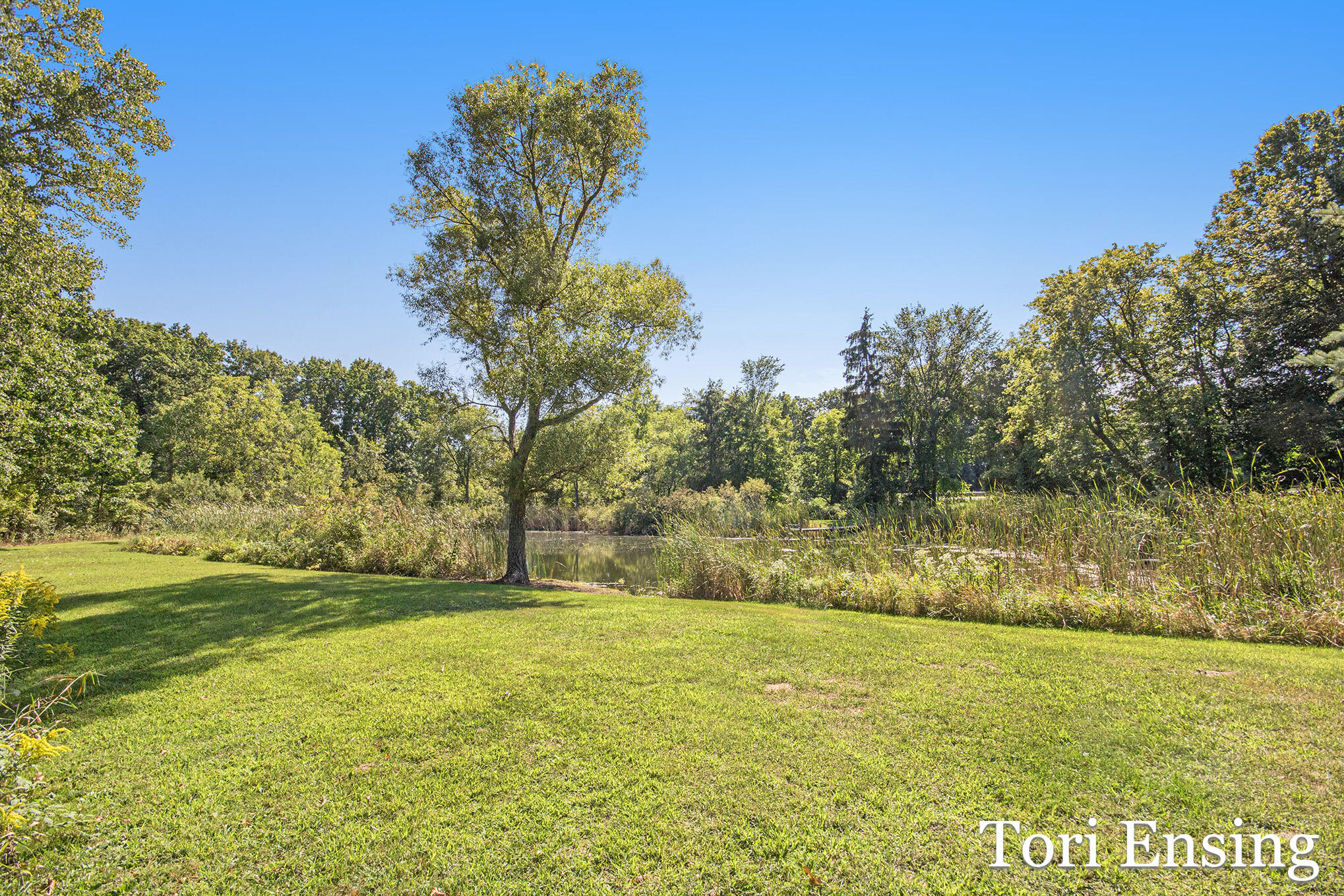 6877 South Grow Road Greenville, MI 48838 - Photo 39 of 48 IMG_6476