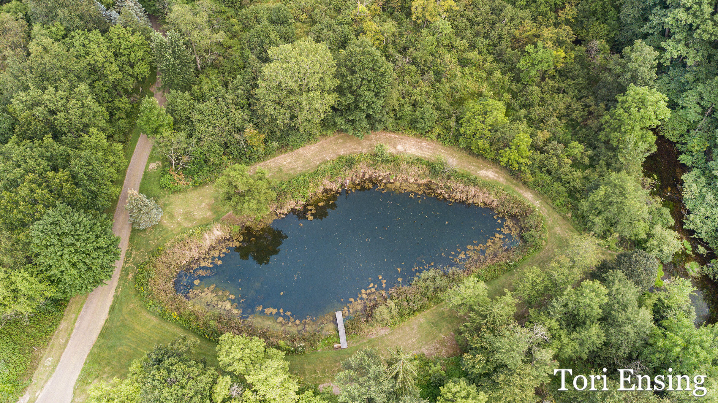 6877 South Grow Road Greenville, MI 48838 - Photo 40 of 48 6877SGrowRdAerial-14