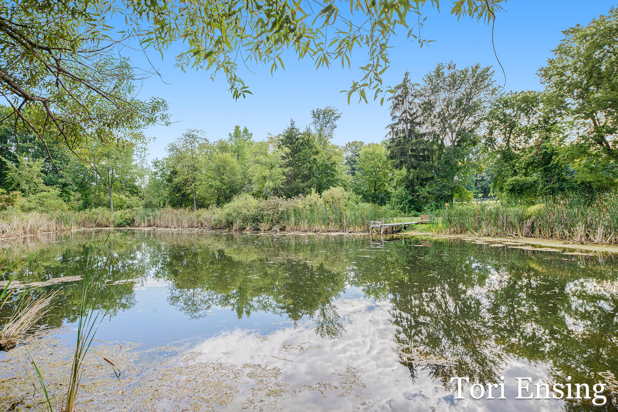 6877 South Grow Road Greenville, MI 48838 - Photo 42 of 48 6877SGrowRd-38