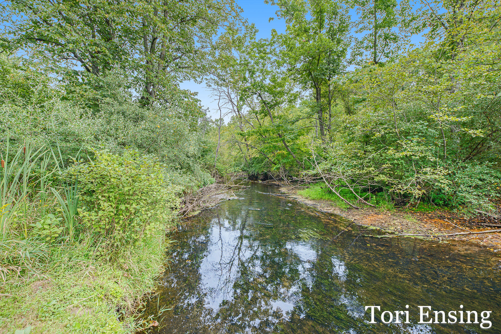 6877 South Grow Road Greenville, MI 48838 - Photo 43 of 48 6877SGrowRd-36