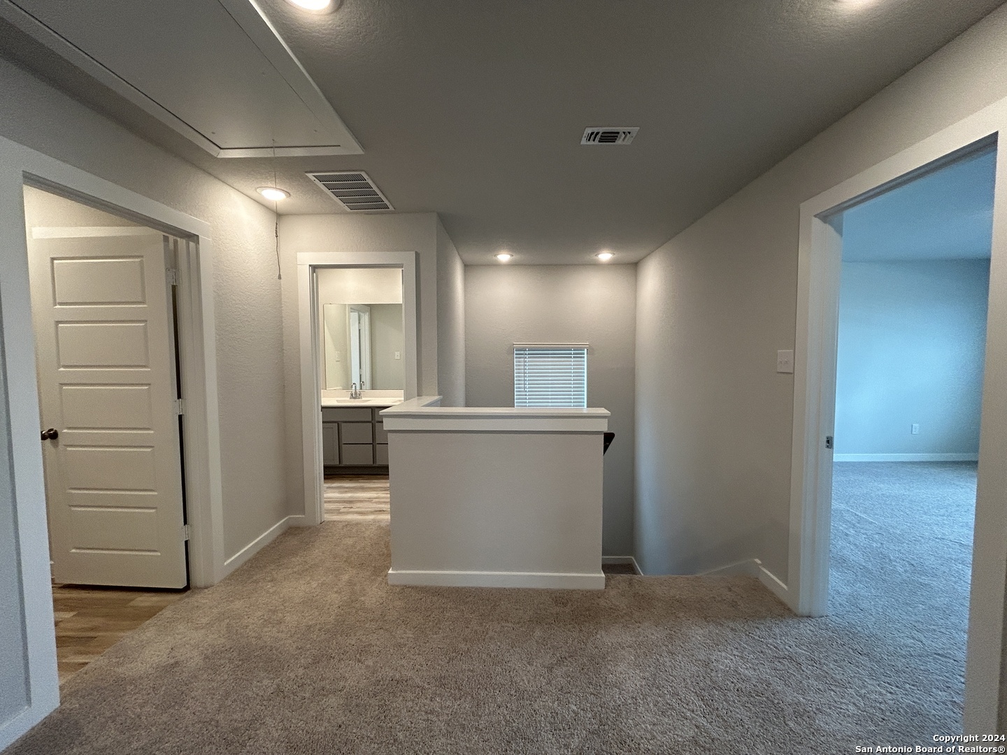 4305 Danforth Street New Braunfels, TX 78130 - Photo 14 of 31 a view of a big room with closet and windows