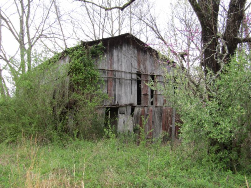 895 Baptist Ridge Road Hilham, TN 38568 - Photo 11 of 30 IMG_0676