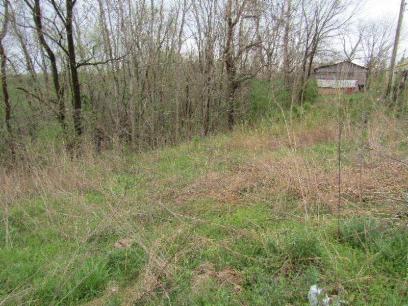 895 Baptist Ridge Road Hilham, TN 38568 - Photo 13 of 30 IMG_0680