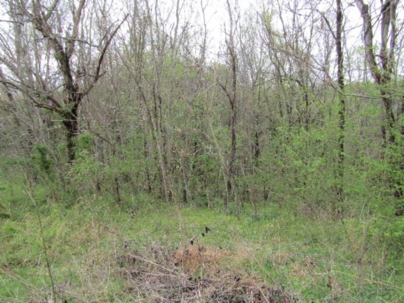 895 Baptist Ridge Road Hilham, TN 38568 - Photo 18 of 30 IMG_0670