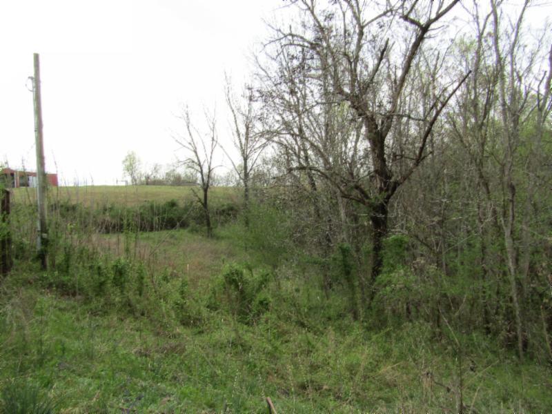 895 Baptist Ridge Road Hilham, TN 38568 - Photo 19 of 30 IMG_0672