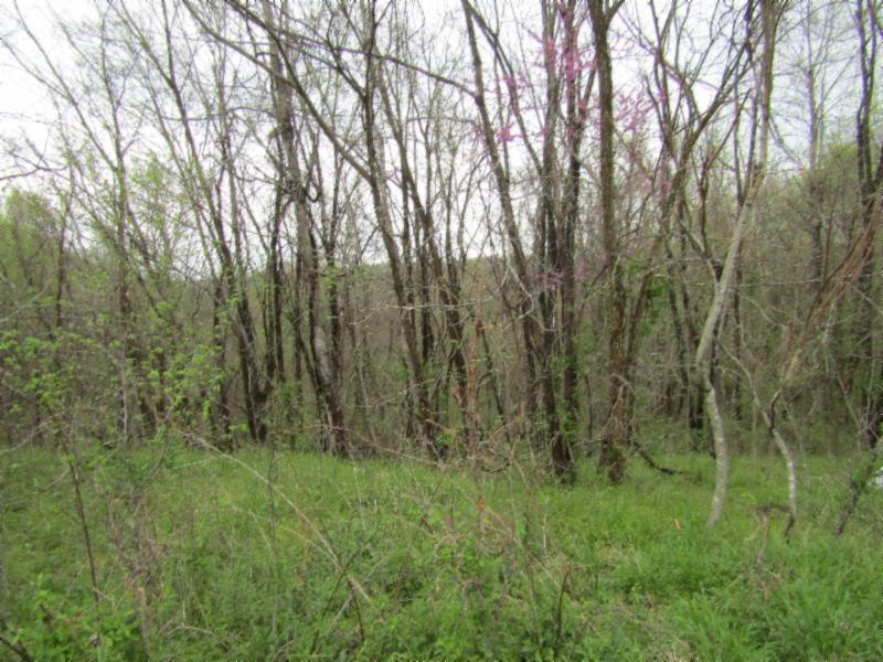 895 Baptist Ridge Road Hilham, TN 38568 - Photo 20 of 30 IMG_0674