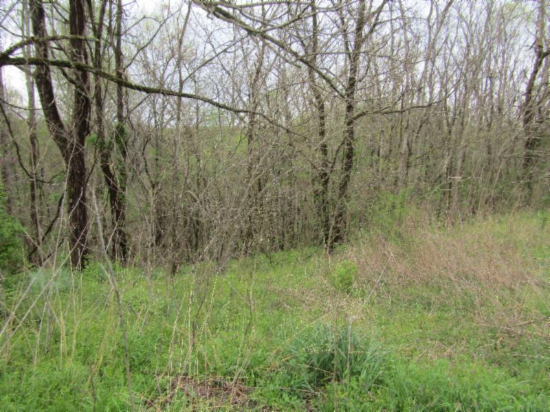 895 Baptist Ridge Road Hilham, TN 38568 - Photo 21 of 30 IMG_0681