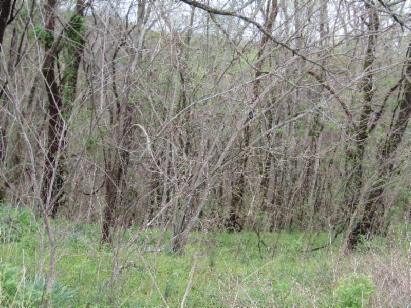 895 Baptist Ridge Road Hilham, TN 38568 - Photo 22 of 30 IMG_0682