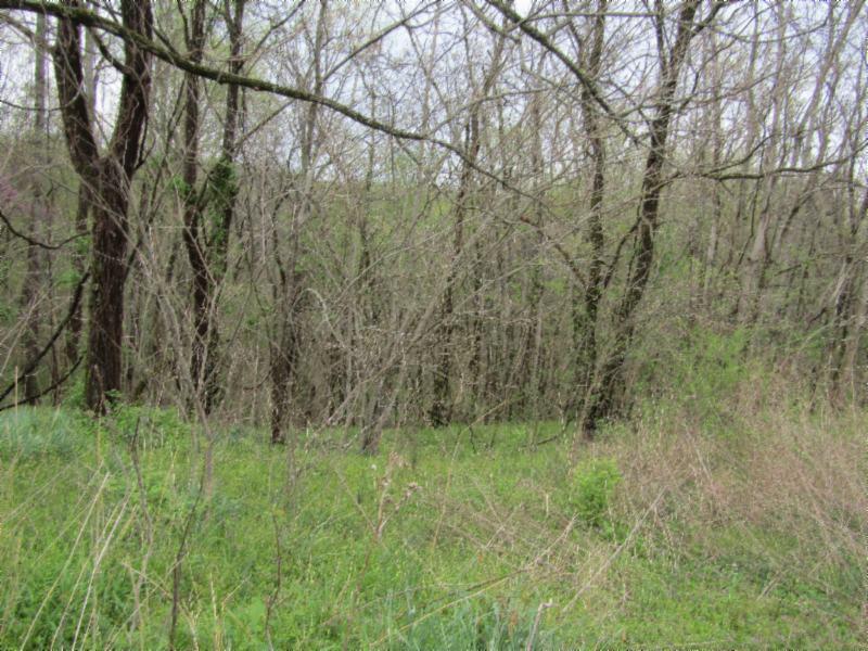 895 Baptist Ridge Road Hilham, TN 38568 - Photo 23 of 30 IMG_0683