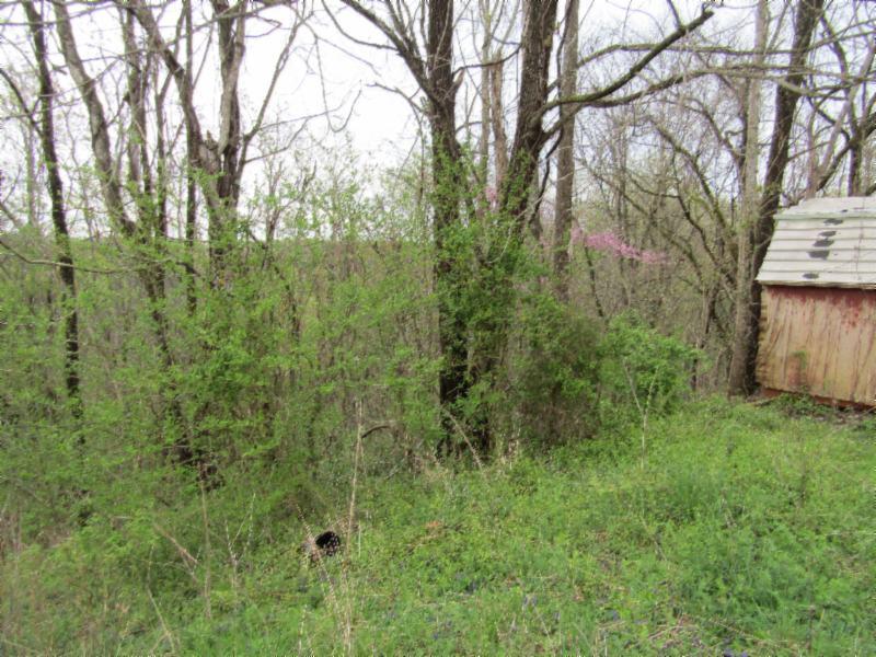 895 Baptist Ridge Road Hilham, TN 38568 - Photo 8 of 30 IMG_0671