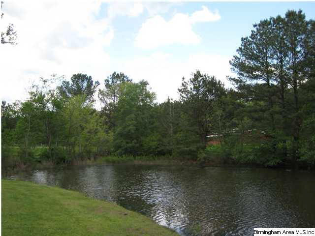 472 Wolf Creek Road Pell City, AL 35128 - Photo 11 of 15