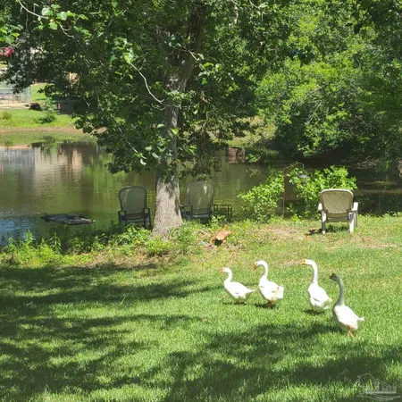 a view of lake with green space