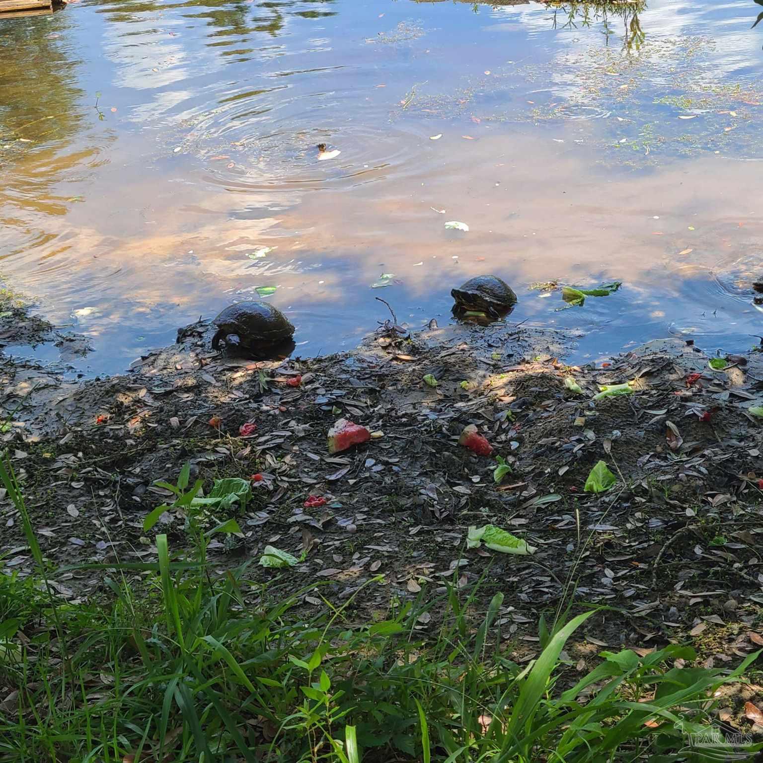 11424 High Springs Road Pensacola, FL 32534 - Photo 46 of 46 a view of a bunch of trees in a yard