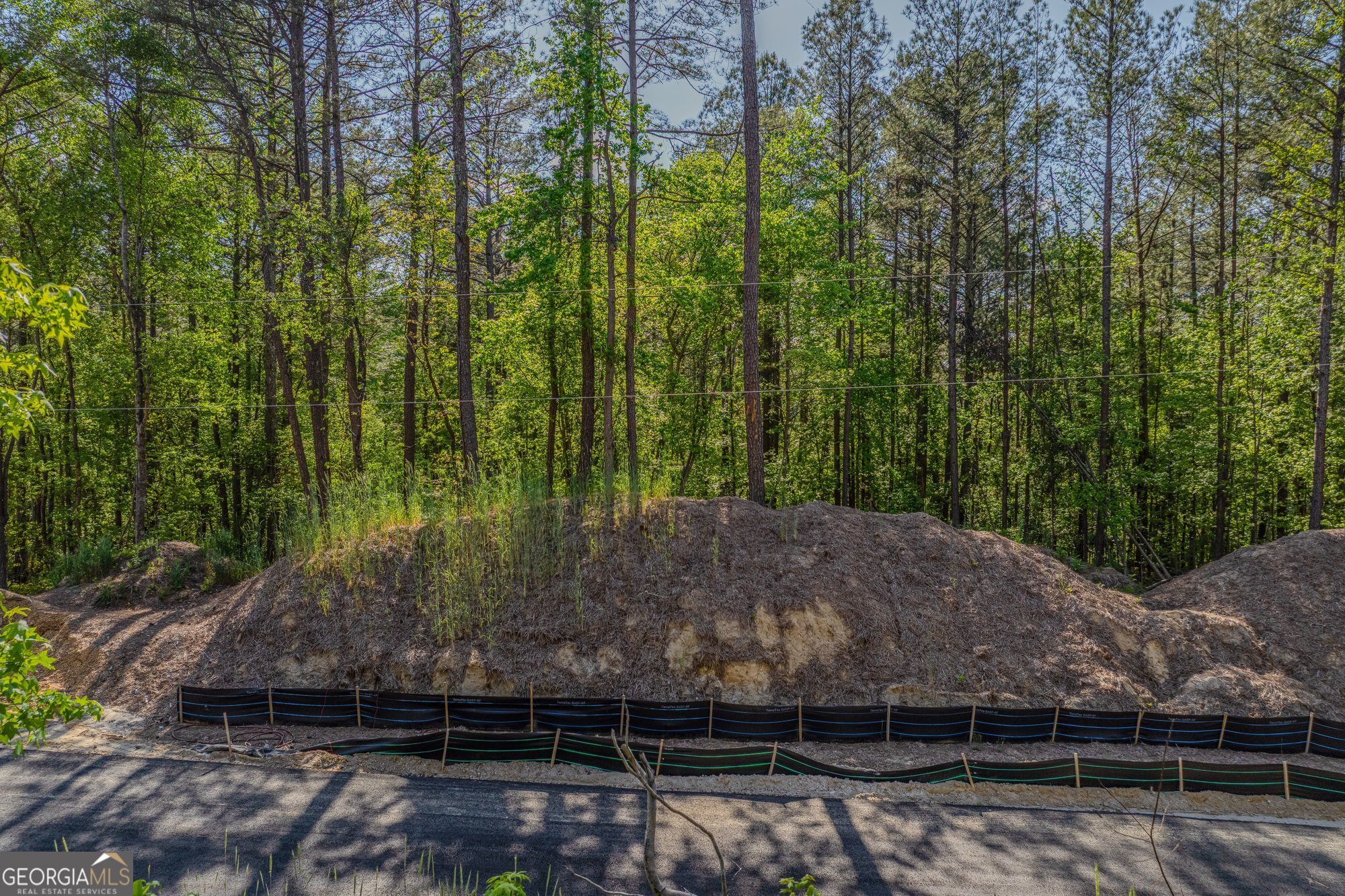 1559 Whitley Road Dacula, GA 30019 - Photo 19 of 33 a view of a backyard