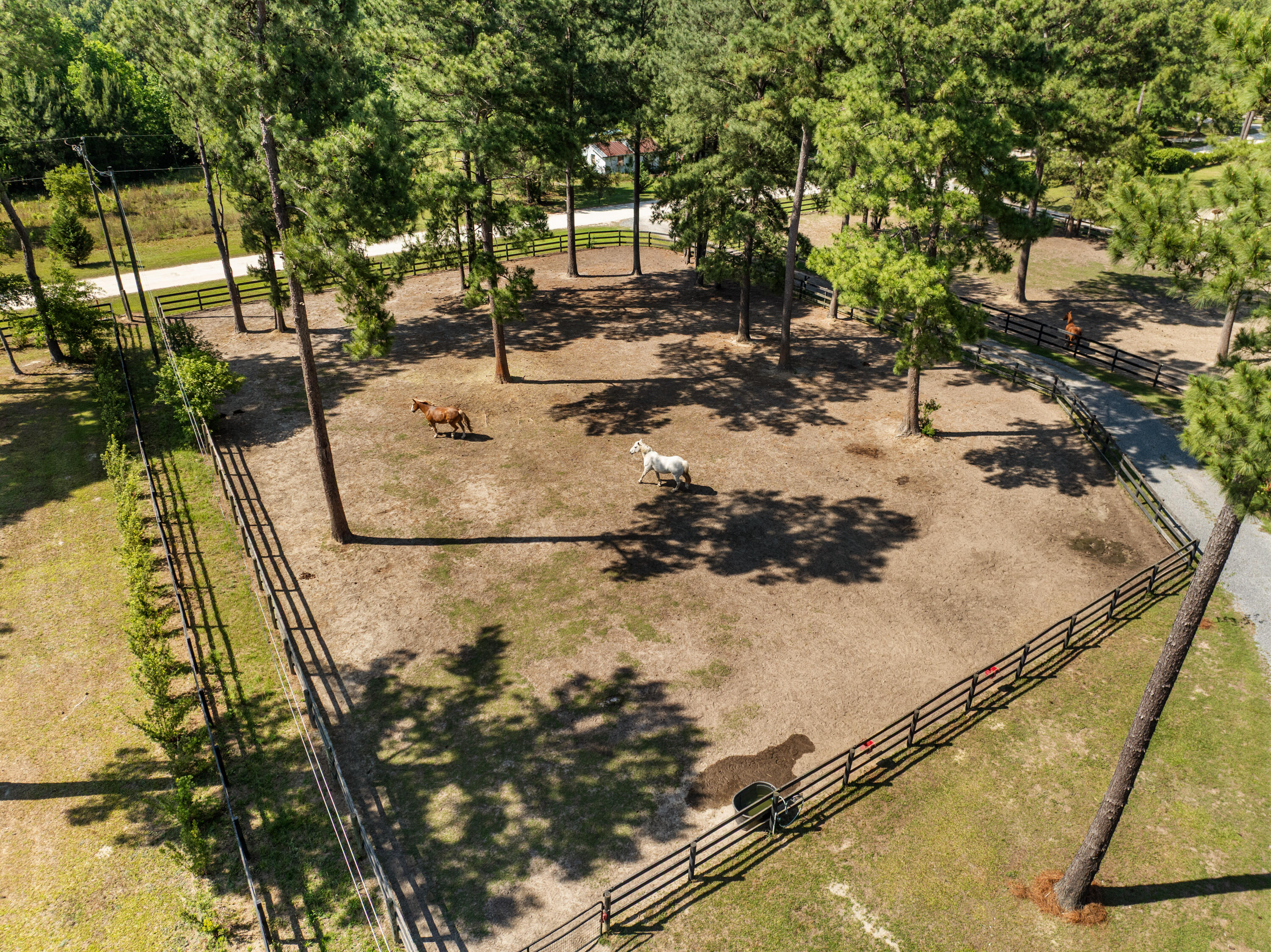 115 Chancing Bye Lane Huger, SC 29450 - Photo 6 of 64 115 Chancing Bye Lane-70
