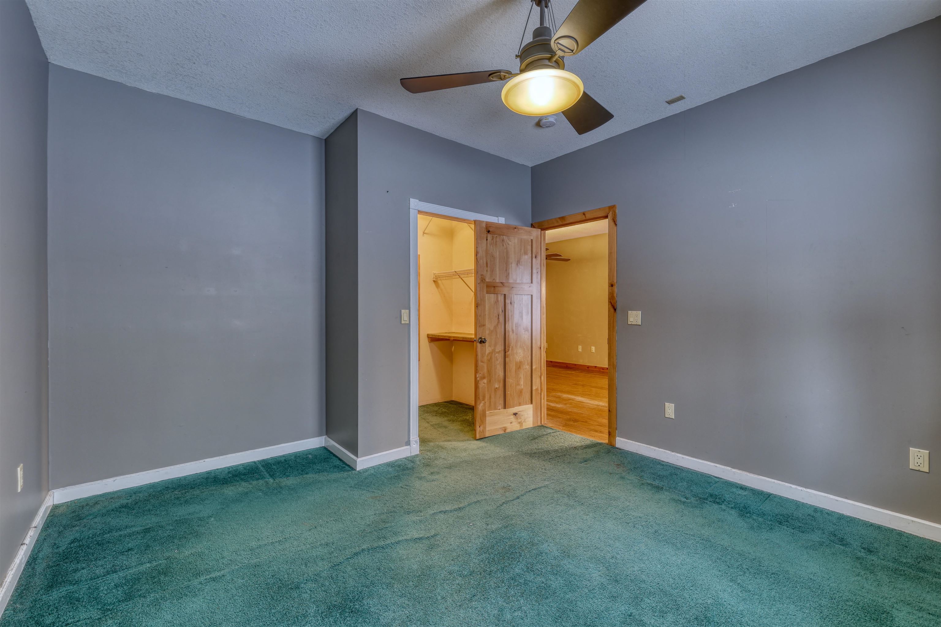 15531 West Hospital Road Hayward, WI 54843 - Photo 43 of 71 Unfurnished bedroom featuring a spacious closet, carpet, a textured ceiling, and a ceiling fan