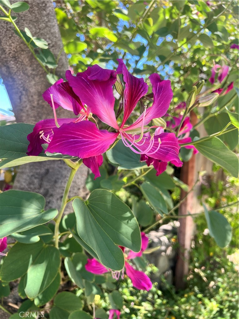 614 East I Street, Unit B Ontario, CA 91764 - Photo 20 of 20