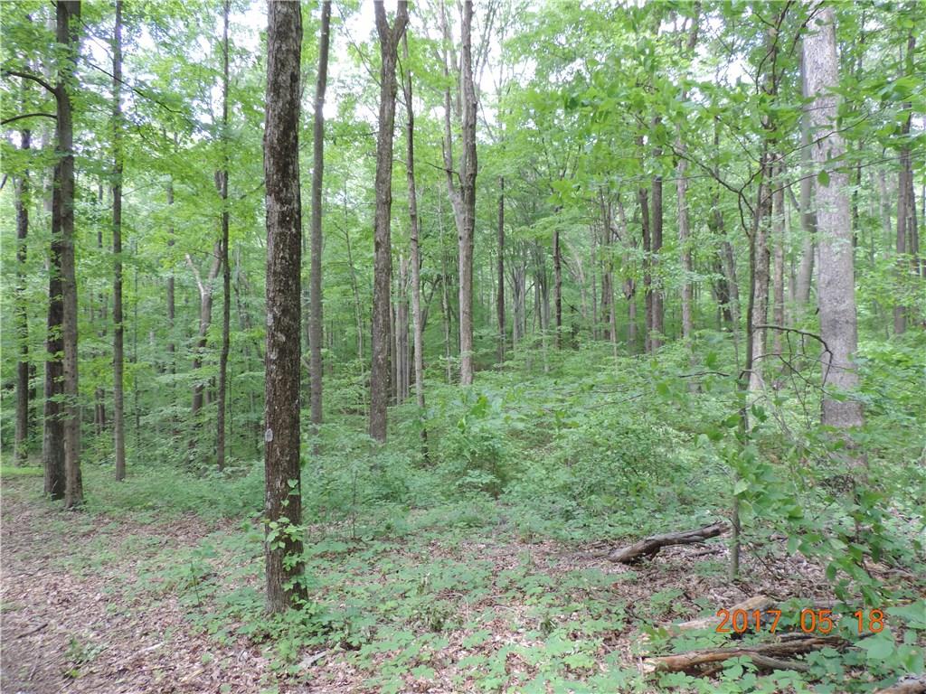 3664 Bandy Road Poland, IN 47868 - Photo 22 of 25