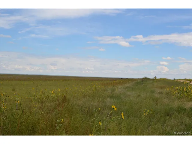 $65,000 | 1 County Road West, Rush, CO 80833