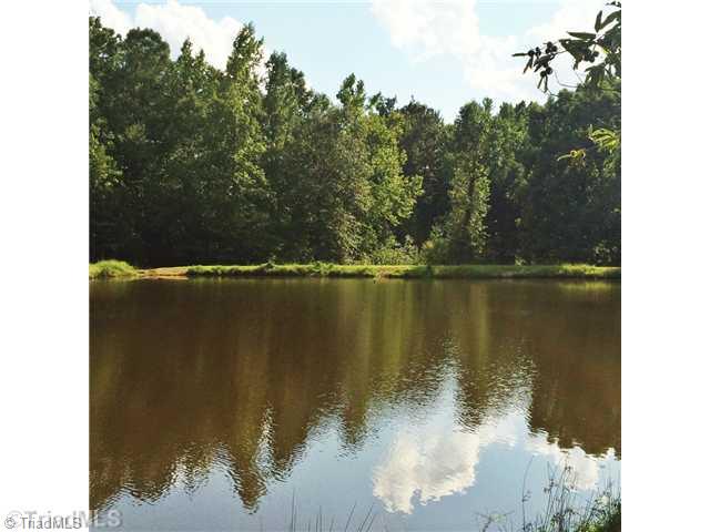2942 Wayne White Road Climax, NC 27233 - Photo 12 of 14 Other.