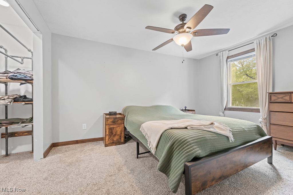 282 Johnson Road Wadsworth, OH 44281 - Photo 19 of 50 Carpeted bedroom with ceiling fan